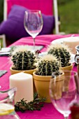 BARBEQUE PROJECT: CACTUS TABLE DECORATIONS WITH WINE GLASSES AND PINK TABLE CLOTH. DESIGNER: CLARE MATTHEWS