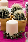 BARBEQUE PROJECT: TABLE DECORATION WITH CACTUS IN YELLOW CONTAINERS   A CREAM CANDLE GARLANDED WITH ROSEMARY AND A PINK TABLE CLOTH. DESIGNER: CLARE MATTHEWS