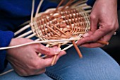 WINDRUSH WILLOW: SUZANNE KERWOOD MAKING A WILLOW BASKET