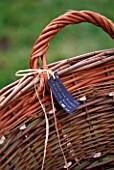 WINDRUSH WILLOW: DETAIL OF WILLOW BASKET