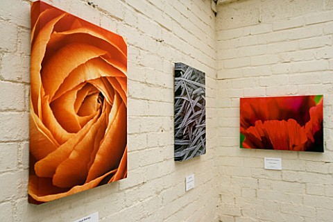 NEW_SHOOTS_EXHIBITION_AT_THE_ABBEY_HOUSE__WILTSHIRE_SPRING_2006