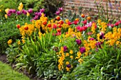 CHENIES MANOR HOUSE  BUCKINGHAMSHIRE: BORDER WITH TULIPS AND WALLFLOWERS IN SPRING
