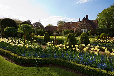 SPRING_AT_CHENIES_MANOR_HOUSE__BUCKINGHAMSHIRE_SUNDIAL_BEDS_PLANTED_WITH_BLUE_FORGETMENOTS_AND_TULIP
