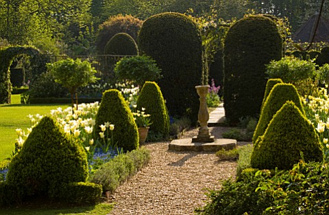 CHENIES_MANOR_GARDEN__BUCKINGHAMSHIRE_SUNDIAL_BEDS_WITH_TOPIARY__FORGETMENOTS_AND_TULIP_DREAMING_GIR