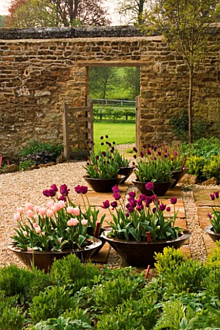 RICKYARD_BARN_GARDEN__NORTHAMPTONSHIRE_GRAVEL_AND_HORNTON_STONE_TERRACE_WITH_COPPER_CONTAINERS_PLANT