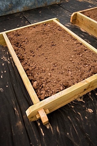 WOODEN_BED_FILLED_WITH_MANURE_AND_SOIL_IN_THE_POTAGER_DESIGNED_BY_CLARE_MATTHEWS