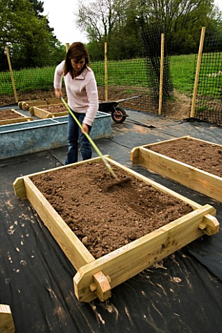 CLARE_MATTHEWS_RAKES_A_WOODEN_BED_FILLED_WITH_MANURE_AND_SOIL_IN_THE_POTAGER_DESIGNER_CLARE_MATTHEWS