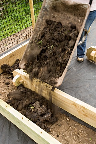 DESIGNER_CLARE_MATTHEWS_CLARE_MATTHEWS_TIPPING_A_WHEELBARROW_OF_COMPOST_INTO_A_WOODEN_BED_IN_THE_POT