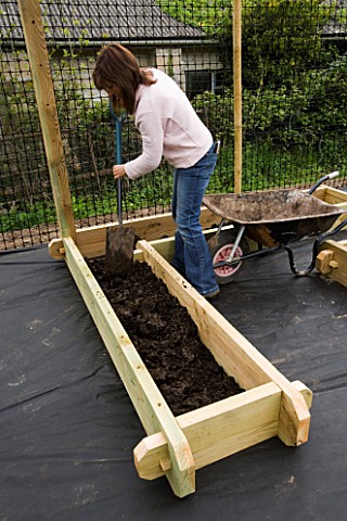 CLARE_MATTHEWS_DIGGING_COMPOST_INTO_A_WOODEN_BED_IN_THE_POTAGER