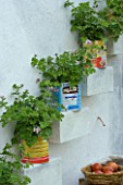 CHELSEA FLOWER SHOW 2006: LEBANESE COURTYARD GARDEN BY NADA HABET: STEPS UP WHITE WALL WITH CANS PLANTED WITH PELARGONIUMS