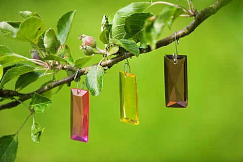 DESIGNER_CLARE_MATTHEWS__COLOURED_GLASS_DECORATIONS_HANGING_FROM_APPLE_TREE_DECORATIVE