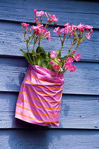 DESIGNER_CLARE_MATTHEWS__PINK_PLASTIC_PARTY_BAG_ON_BLUE_FENCE_PLANTED_WITH_PINK_FLOWERS