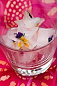 DESIGNER: CLARE MATTHEWS - FLOWERY ICE CUBES. ICE CUBE STARS IN GLASS CUP WITH VIOLAS