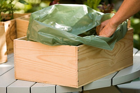 DESIGNER_CLARE_MATTHEWS___VEGETABLE_BOX_PROJECT__FILLING_BOX_WITH_GREEN_PLASTIC_LINER