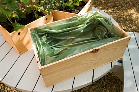 DESIGNER_CLARE_MATTHEWS___VEGETABLE_BOX_PROJECT__BOX_FILLED_WITH_GREEN_PLASTIC_LINER
