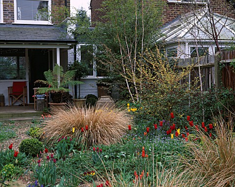 LISETTE_PLEASANCE_GARDEN__LONDON_VIEW_TO_THE_HOUSE_WITH_GRAVEL__STIPA_ARUNDINACEA_AND_TULIPS_WESTPOI