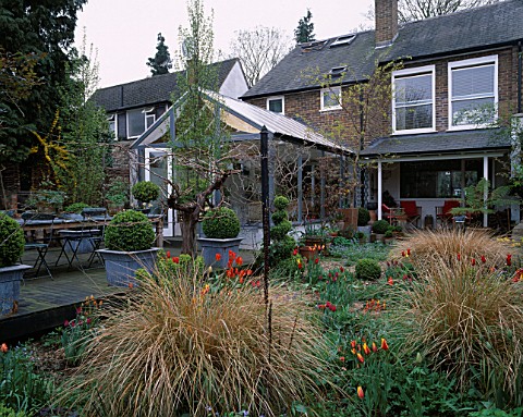 LISETTE_PLEASANCE_GARDEN__LONDON_VIEW_TO_THE_HOUSE_WITH_CONSERVATORY__GRAVEL__BOX_TOPIARY__STIPA_ARU