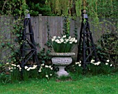 LISETTE PLEASANCE GARDEN  LONDON: LAWN WITH STONE URN PLANTED WITH NARCISSI AND TWO BLACK WOODEN OBELISKS