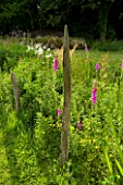 DESIGNER CLARE MATTHEWS: MEADOW WITH DRIFTWOOD SCULPTURE AND FOXGLOVES