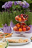 DESIGNER CLARE MATTHEWS: TABLE SETTING WITH FRUIT IN GLASS BOWLS  WINE GLASS  ORANG JUICE AND BLUE HYDRANGEA AND LAVENDER IN CONTAINERS WRAPPED IN GINGHAM MATERIAL