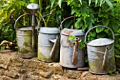 DESIGNER: BARBARA CHARLESWORTH - METAL WATERING CANS LINED UP ON A WALL