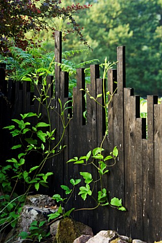 VEDDW_HOUSE__WALES__BLACK_PAINTED_WOODEN_FENCE_WITH_DIFFERENT_SIZED_PIECES_OF_WOOD
