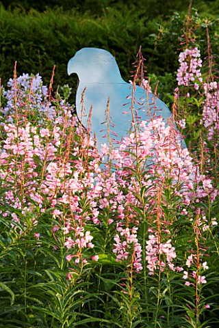 VEDDW_HOUSE_GARDEN__WALES_WOODEN_CUT_OUT_OF_BUZZARD_IN_BORDER_WITH_ROSE_BAY_WILLOWHERB_EPILOBIUM_ANG