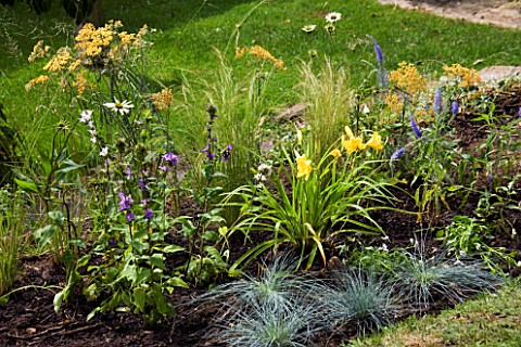 DESIGNER_CLARE_MATTHEWS__PLANTING_PROJECT__PLANTS_LAID_OUT_READY_FOR_PLANTING