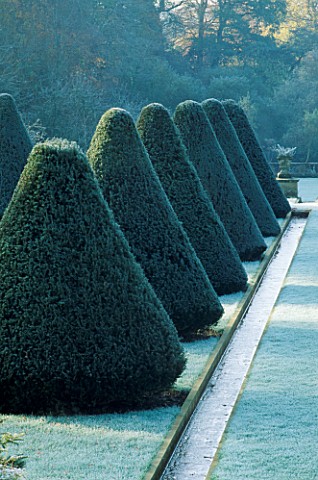 THE_YEW_ALLEE_IN_THE_FORMAL_YEW_TERRACE_AT_PARNHAM_HOUSE__DORSET__LINED_BY_SPRINGFED_WATER_RILLS
