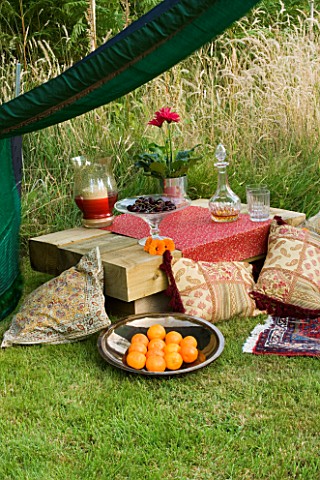 DESIGNER_CLARE_MATTHEWS__SARI_CANOPY_PROJECT_INSIDE_THE_CANOPY_WITH_LOW_SLEEPER_TABLE__ORANGES_IN_BO