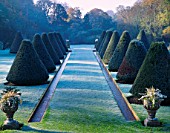 TOPIARY CONES FORM THE YEW ALLEE ON THE YEW TERRACE LINED BY SPRING-FED WATER RILLS. PARNHAM HOUSE GARDEN  DORSET