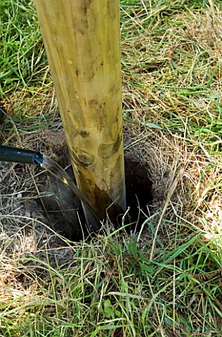DESIGNER_CLARE_MATTHEWS_POST_TEPEE__POURING_WATER_INTO_POST_PLACED_INTO_HOLE_AND_CONCRETED