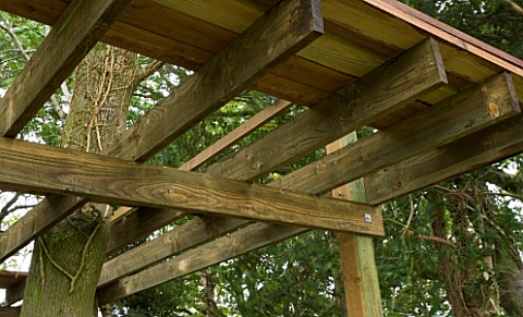 DESIGNER_CLARE_MATTHEWS_TREE_HOUSE_PROJECT__WOODEN_FLOOR_SUPPORTS_GOING_AROUND_CENTRAL_TREE