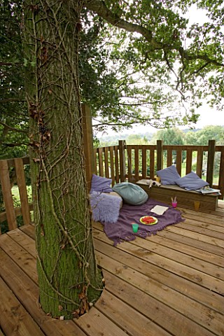 DESIGNER_CLARE_MATTHEWS_TREE_HOUSE_PROJECT__CHILDRENS_PLAY_AREA_WITH_CUSHIONS__WOODEN_SEAT_AND_BLANK