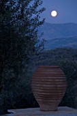 NIGHT VIEW OF TERRACOTTA URN WITH FULL MOON  IN GINA PRICES CORFU GARDEN.