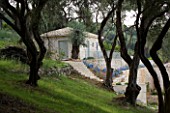 VILLA PROSILIO VIEWED FROM ABOVE THROUGH THE OLIVE GROVES. GINA PRICES CORFU GARDEN.