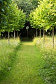 VEDDW HOUSE GARDEN  GWENT  WALES. THE MEADOW  - VIEW ALONG AVENUE OF CLIPPED CORYLUS COLURNA TO DOVE CUT OUT . IMAGE WITHOUT VELVIA LOOK APPLIED