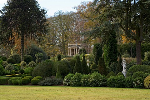BRODSWORTH_HALL__YORKSHIRE_ENGLISH_HERITAGE_TOPIARY_BORDERS__MONKEY_PUZZLE_TREE_AND_TEMPLE