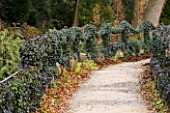 BRODSWORTH HALL  YORKSHIRE. ENGLISH HERITAGE. IVY HANGING FROM RAILINGS BESIDE A PATH