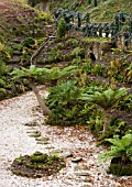 BRODSWORTH HALL  YORKSHIRE. ENGLISH HERITAGE. THE VICTORIAN FERNERY WITH DICKSONIA TREES AND IVY HANGING FROM RAILINGS BESIDE A PATH