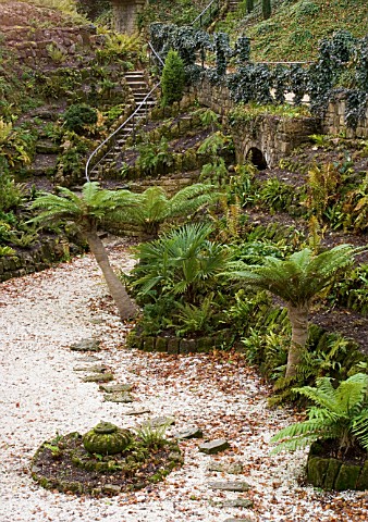 BRODSWORTH_HALL__YORKSHIRE_ENGLISH_HERITAGE_THE_VICTORIAN_FERNERY_WITH_DICKSONIA_TREES_AND_IVY_HANGI