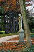 BRODSWORTH HALL  YORKSHIRE. ENGLISH HERITAGE. STATUE BESIDE BEECH TREES WITH PINE TREES IN THE BACKGROUND