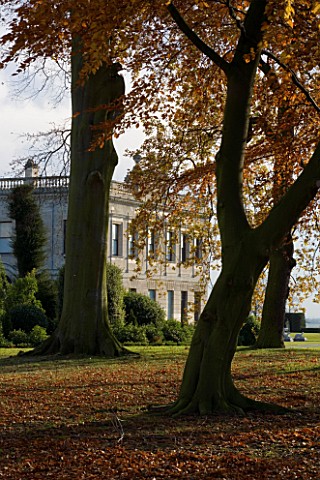BRODSWORTH_HALL__YORKSHIRE_ENGLISH_HERITAGE_THE_HALL_WITH_BEECH_TREES