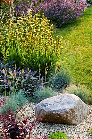 RICHARD_JACKSONS_GARDEN_EVENING_LIGHT_ON_LAWN_AND_GRAVEL_BORDER_PLANTED_WITH_NEPETA_WALKERS_LOW__SIS