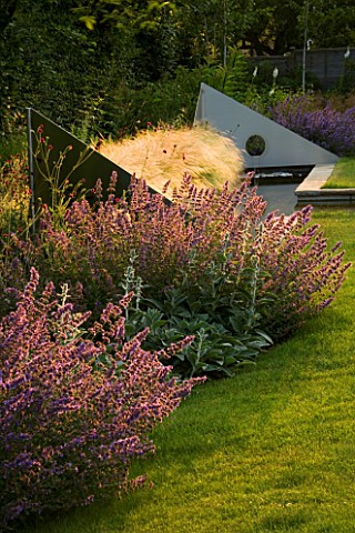 RICHARD_JACKSONS_GARDEN_EVENING_LIGHT_ON_LAWN_AND_BORDER_PLANTED_WITH_NEPETA_WALKERS_LOW__STACHYS_BI
