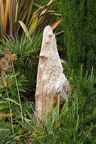 SANDERLINGS__CUMBRIA_DESIGNER__CHRISTOPHER_HOLLIDAY_DRIFTWOOD_SCULPTURE_BESIDE_ROSEMARY_IN_THE_FRONT