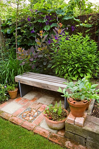 KATHY_TAYLORS_GARDEN__LONDON_A_PLACE_TO_SIT_WOODEN_SEAT_BENCH_SURROUNDED_BY_FOLIAGE_PLANTS_INCLUDING