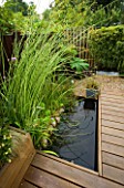 KATHY TAYLORS GARDEN  LONDON: POOL/ POND IN THE BACK GARDEN WITH WOODEN DECKING/ WALKWAY