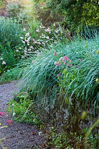 VEDDW_HOUSE_GARDEN__GWENT__WALES_DESIGNERS_ANNE_WAREHAM_AND_CHARLES_HAWES__STONE_WALL_PLANTED_WITH_L