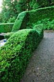 VEDDW HOUSE GARDEN  GWENT  WALES: DESIGNERS ANNE WAREHAM AND CHARLES HAWES - THE POOL GARDEN WITH YEW HEDGES